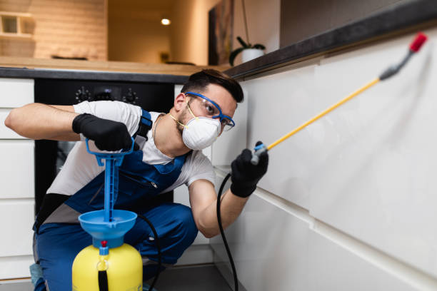 Best Affordable Pest Control Services  in Willamina, OR