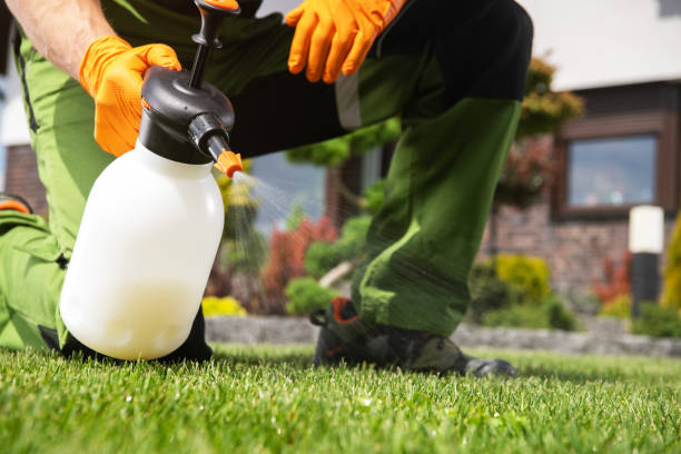 Best Pest Removal Services  in Willamina, OR