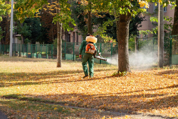 Best Mosquito Control Services  in Willamina, OR