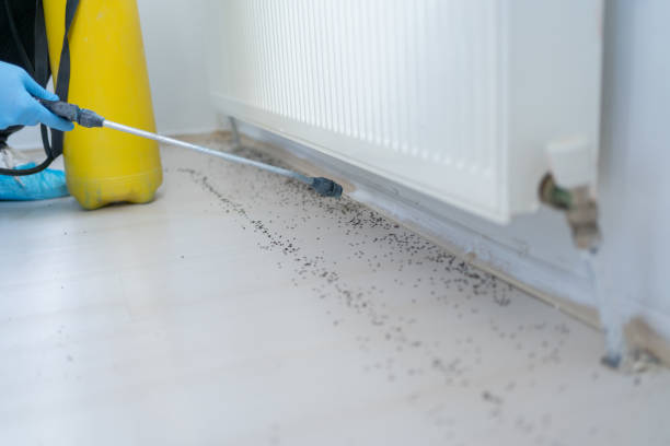 Best Residential Pest Control  in Willamina, OR